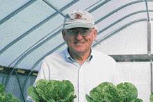 Bernard Kratky with lettuce